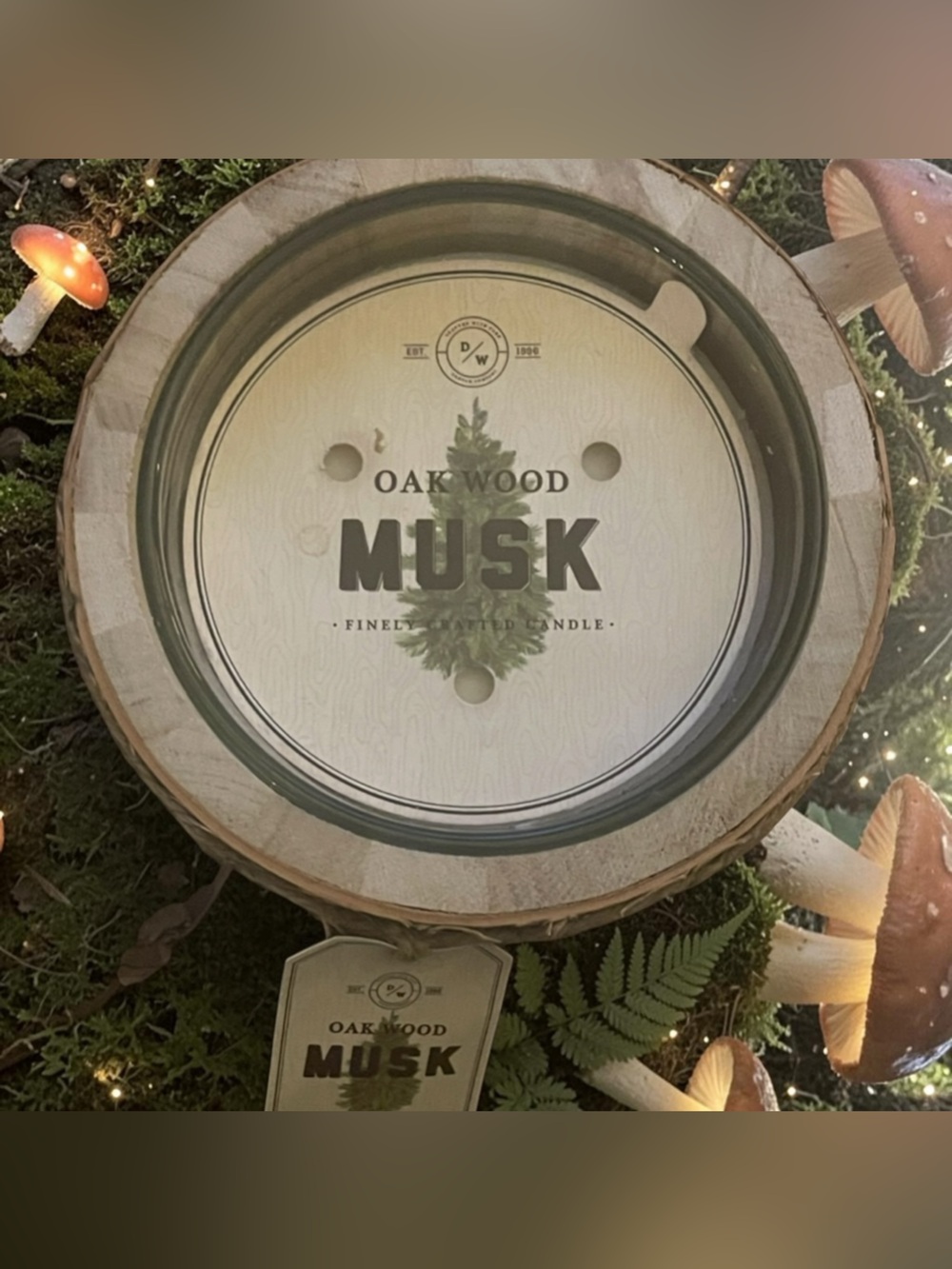 Oak Wood Musk Candle - Neutral Wood and Green